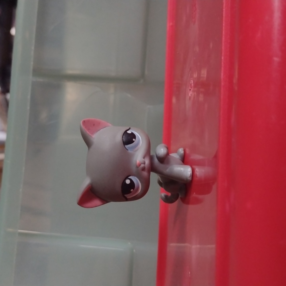Littlest Pet Shop gray cat